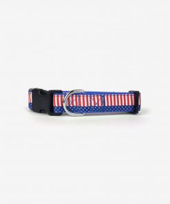 4th of July Star & Stripes Dog Collar