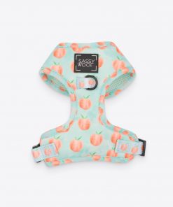 'Peach, Please' Adjustable Dog Harness