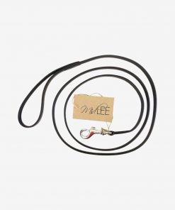 Small Leather Dog Leash