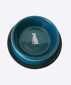 Teal Non Skid Dog Bowl