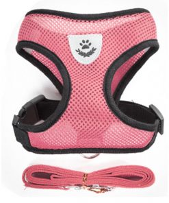 Nylon Mesh Cat Harness And Leash