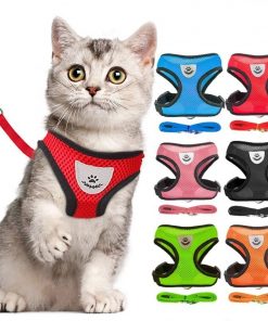 Cat Adjustable Harness Polyester Mesh