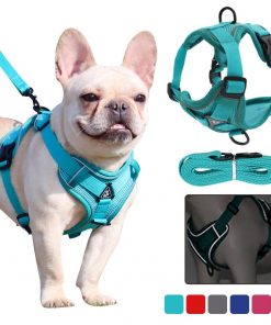 Adjustable Pet Reflective Leash