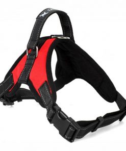 Dog Soft Adjustable Harness
