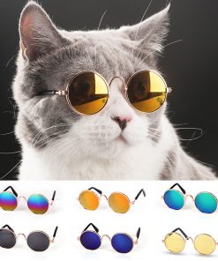 Pet Cat Small Dog Glasses